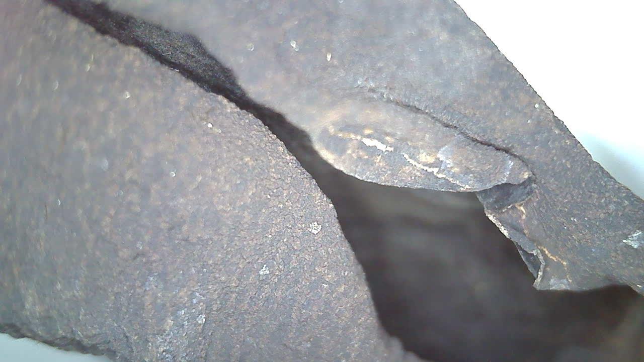 Carbon-Activated Edible Flower Petals + Plant-Based Multipurpose Oil