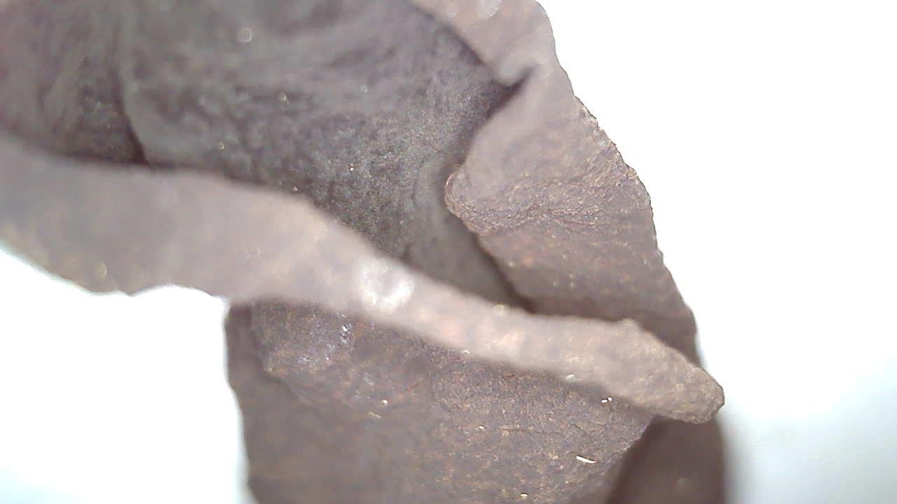 200 Times Magnification