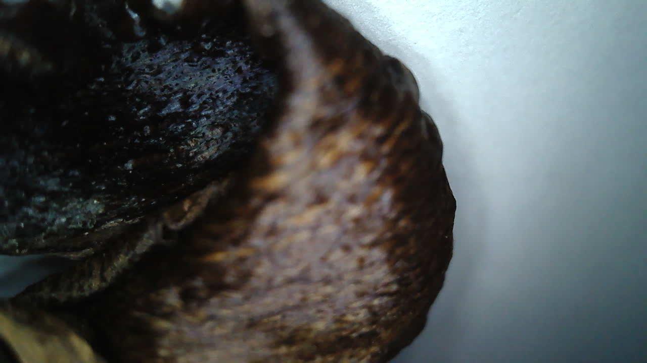 200x Zoom
