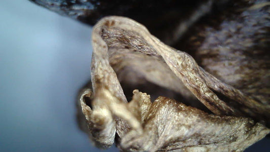 Carbon-Activated Edible Flower Petals + Plant-Based Multipurpose Oil